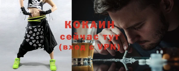 гидра Богданович