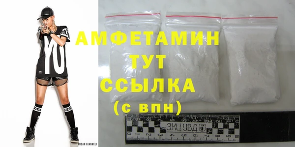 гидра Богданович