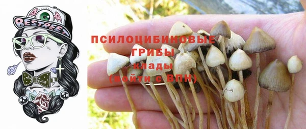 гидра Богданович