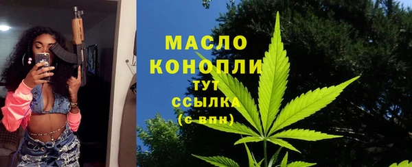 гидра Богданович