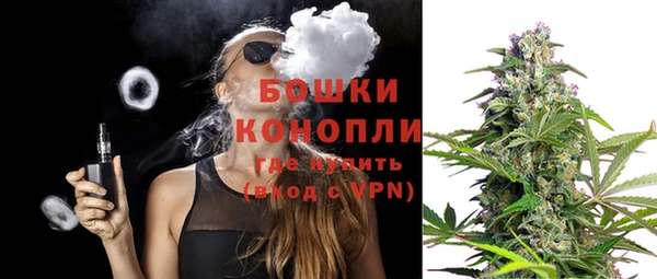 гидра Богданович