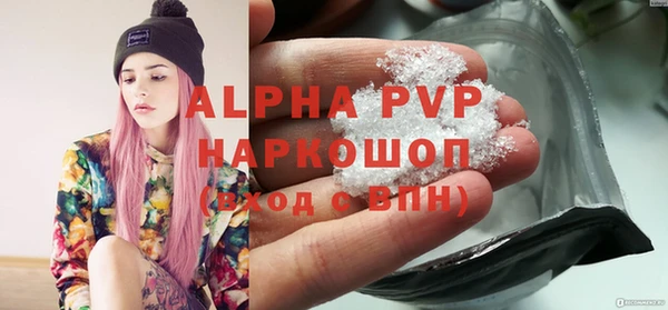 гидра Богданович