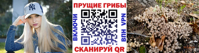 Купить  Острогожск  Галлюциногенные грибы Magic Shrooms 